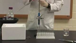 Protein Methods 2010  Lab 4 Affinity Chromatography [upl. by Jorge233]