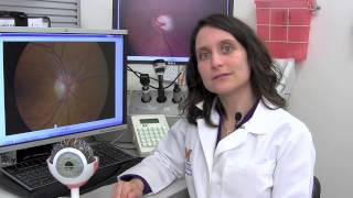 How does eye pressure relate to glaucoma [upl. by Llejk]