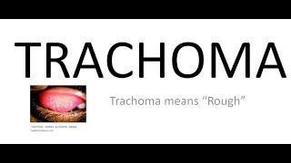 Ophthalmology 076 a Trachoma What is Chlamydial Trachomatis Conjunctivitis [upl. by Hamford]