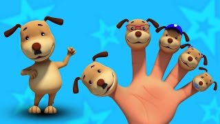 Chiens doigt famille  comptines  préscolaires Chansons  3D Kindergarten Rhyme  Dog Finger Family [upl. by Aivul512]