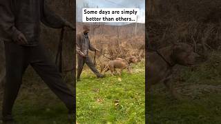 Some days are better simply then others 😂😵😒 shorts viral funny [upl. by Ydnys]