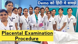 Placental examination demo fetal surface maternalumbilical cord examinationProcedure [upl. by Warenne]