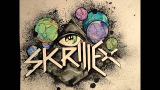 Skrillex  What is Light Where is Laughter [upl. by Antonius]