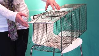 How to Set a Feral Cat Trap  Spay Neuter Charlotte [upl. by Antonin]