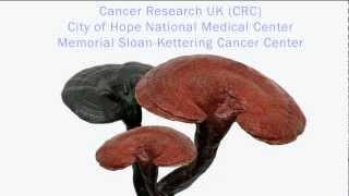 Reishi Mushroom and HIV  AIDS Public Domain Video [upl. by Aitital498]