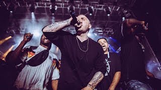 FLER  Sollte so sein ft Mortel Openair Frauenfeld Festival OAF 2017 Live Auftritt [upl. by Kacy451]