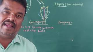 Allogamytypes of allogamyadvantages and disadvantages of allogamycross polination [upl. by Otsenre]