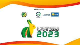 CAMPEONATO BRASILIENSE DE KUNGFU WUSHU 2023  2810 MANHÃ [upl. by Dyolf294]