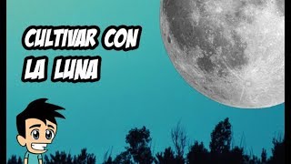 Cómo Cultivar y Sembrar Según las Fases de la Luna 🌙 Consejos para Huerto y Jardín 🌱 [upl. by Brod]