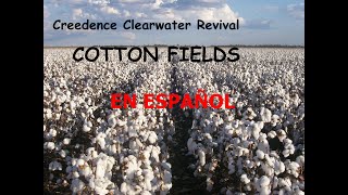 Creedence Clearwater Revival  Cotton Fields Español [upl. by Ferrell852]