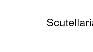 How to pronounce Scutellaria [upl. by Muir]