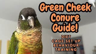 Green Cheek Conure Guide  Conure Care Guide  Diet Cage Behaviour Training  TheParrotTeacher [upl. by Esinyt]