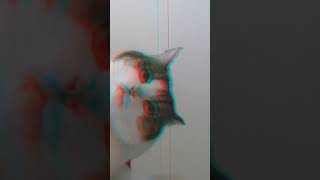 Very sweet screen 3d anaglyph [upl. by Aitropal]