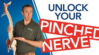 How to Get Relief from a Pinched Nerve Lower back [upl. by Pooh]