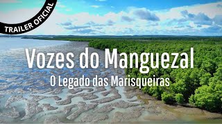 Trailer Oficial  Vozes do Manguezal O Legado das Marisqueiras  Curta documentário [upl. by Eenerb]