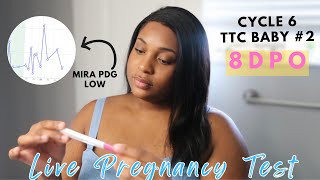 LIVE PREGNANCY TEST AT 8DPO  LETROZOLE ROUND 2 25mg  LOW PROGESTERONE ON MIRA  TTC BABY 2 [upl. by Aihseit]