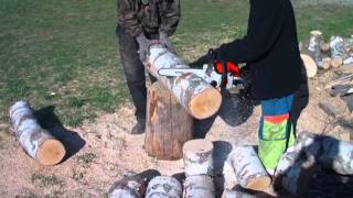 Cięcie drewna pilarką w klocki  Chainsaw cutting wood [upl. by Weywadt]