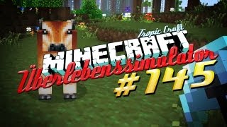 Überlebenssimulator  Part 145 MINECRAFT  DEUTSCH  HD Wasserspiele [upl. by Aikemot]