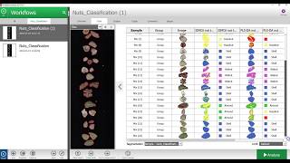 Breeze video tutorial  Classification of nuts step 2 advanced [upl. by Merkle]