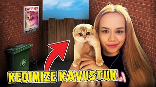 KEDİMİZLE KAVUŞTUK   Öykü Çok Mutlu Oldu  OykuKarta [upl. by Dnomad560]