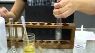 Ethanol Emulsion Test for Fats  A Level Biology [upl. by Nilyak]