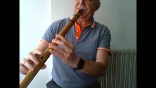 Didos lament Purcell  Quenacho flute [upl. by Nospmoht292]