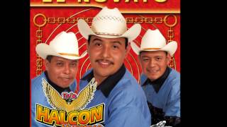 Halcon Huasteco mix completo primer disco el novato [upl. by Voe]