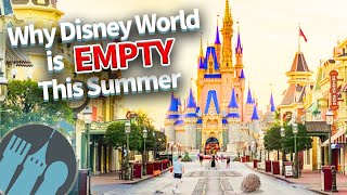 Why Disney World is EMPTY This Summer [upl. by Aerdua]