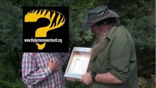 Thylacine Tasmanian tiger Footprint in the mud  Pt 2 The Witness Interview [upl. by Raseta784]