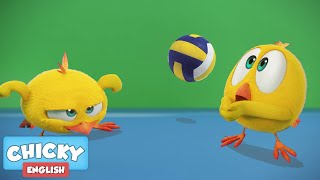 Wheres Chicky  CHICKY IS SPORTY  Chicky Cartoon in English for Kids [upl. by Rusty630]