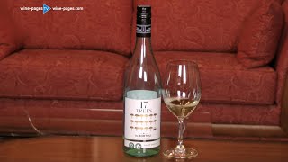 Review of de Bortoli 17 Trees Pinot Grigio 2020 wine [upl. by Schreib]