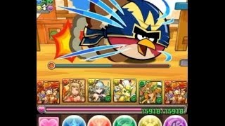 パズドラ【アングリーバードコラボ・黄金級】朱雀・レイランPT ノーコン！攻略 [upl. by Nerral155]