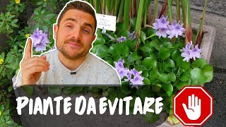 LE 10 PIANTE PROIBITE E INVASIVE NEI GIARDINI [upl. by Bobinette]