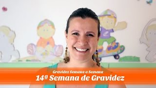 14ª Semana de gestação [upl. by Eelanna]