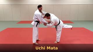 Programme technique UV2 1° dan judo Koshi Waza  club judo jujitsu Duppigheim [upl. by Tunk]