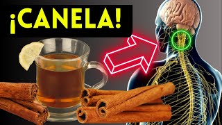 ENFERMEDADES que SANAN con TÉ de CANELA CÓMO USARLA [upl. by Alley428]