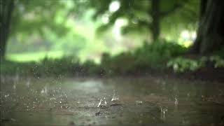 Rain Sounds 15 seconds soundtrack [upl. by Nylecaj]