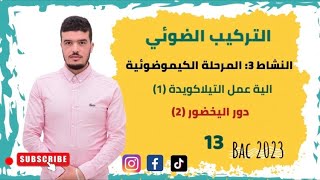 التركيبالضوئي2021 النشاط3 المرحلة الكميوضوئية الجزء2 الية عمل التيلاكويدة 1 دور اليخضور2 [upl. by Portugal350]