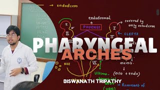 PHARYNGEAL ARCHES  EMBRYOLOGY  MBBS ANATOMY  Biswanath Tripathy [upl. by Asirak]