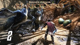 Kingdoms of Amalur ReReckoning Gameplay Part 2 Main Quest Walkthrough [upl. by Nitas]