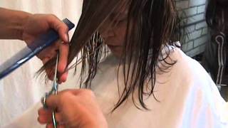 MidLength Custom Modern Angled Bob featuring Sharon Sovinskiwmv [upl. by Layton]