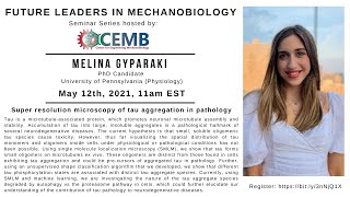 Future Leaders in Mechanobiology Seminar Melina Gyparaki [upl. by Aynnat]