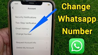 How to Change WhatsApp Number Without Losing Any Chats on iPhone [upl. by Eillek263]