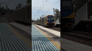 Sydney Bound Train at Warnervale Station [upl. by Leupold]