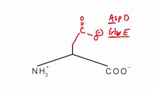 Memorize the 20 amino acids in 20 minutes Part 2 [upl. by Eikcin]