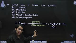 Acetyl CoA is formed from pyruvate by reaction [upl. by Riplex]