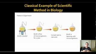 Classic Biology Example of Scientific Process Spontaneous Generation vs Biogenesis [upl. by Sammie]