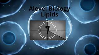 Biology A level lesson 2 Lipids Free lessons letsgettothemarks [upl. by Acilejna]