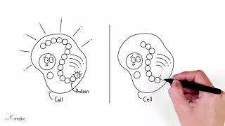 mRNA vaccines [upl. by Yeldar]