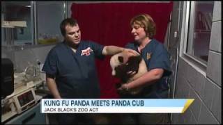 Kung Fu Panda 2 Jack Black wants to Cuddle with Panda Cubs 2152011 [upl. by Olaf]